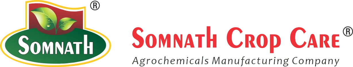 "somnath company"